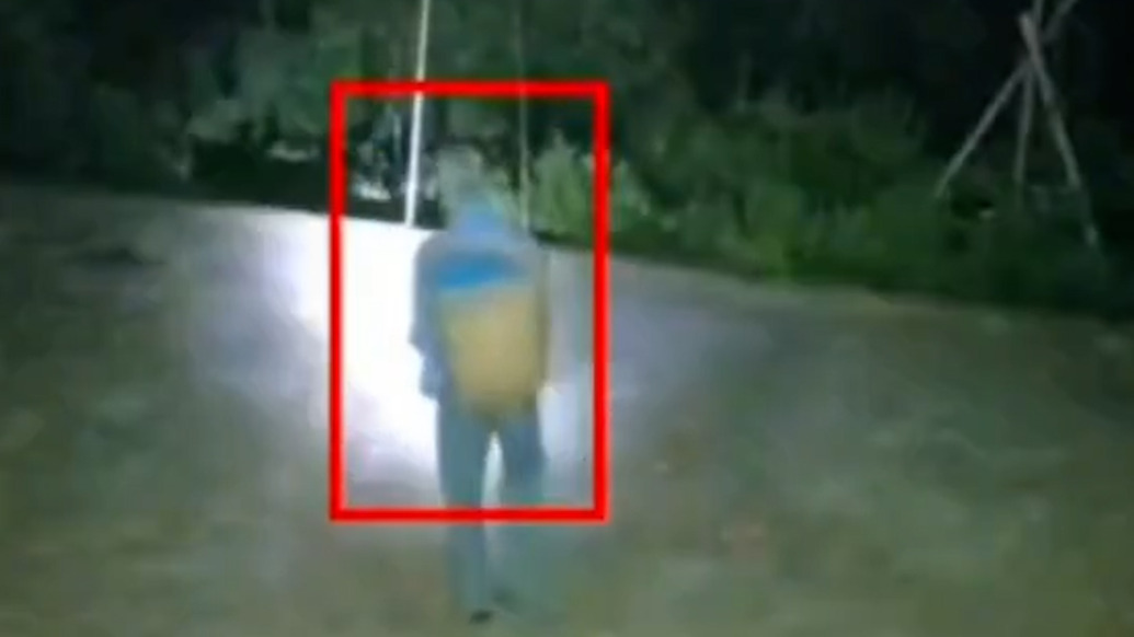 朴实的父爱!82岁父亲凌晨起床摘李子寄给子女,“他听说没被太阳晒到的果子口感更好”