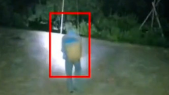 朴实的父爱！82岁父亲凌晨起床摘李子寄给子女，“他听说没被太阳晒到的果子口感更好”