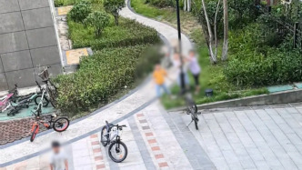 小朋友合力欲扶起被風吹倒路燈，居民勸阻提醒避險