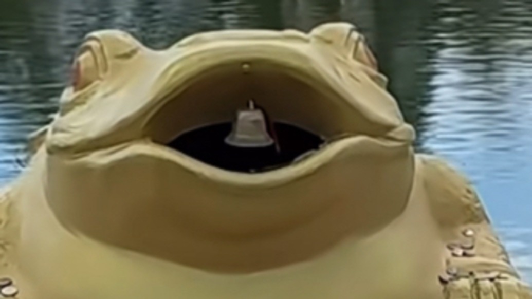 清空是爱，填满也是爱！南通这家动物园“掏空许愿池”暖心后续：外地游客专程来投币