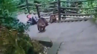 峨眉山野猴追逐游客致2人摔倒，景區(qū)回應(yīng)：有管控但無(wú)法完全避免，如買(mǎi)保險(xiǎn)可理賠