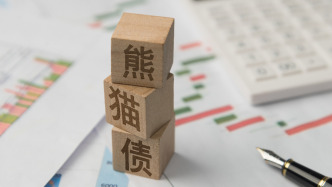 亞投行成功發(fā)行20億元2年期熊貓債券，獲創(chuàng)紀(jì)錄認(rèn)購需求