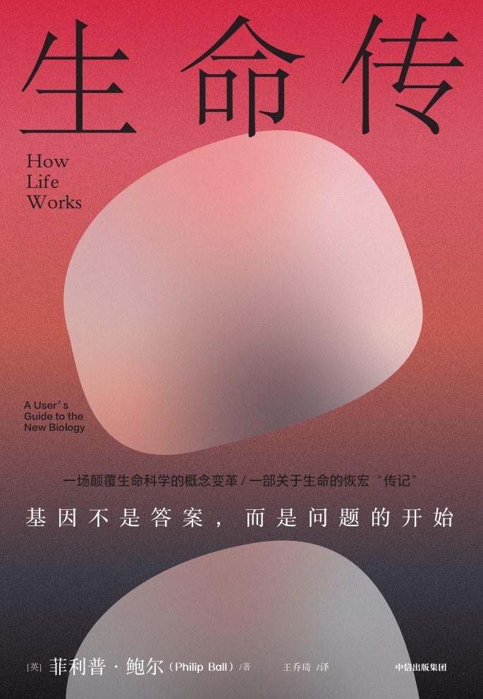 科普书单·新书｜生而为熊