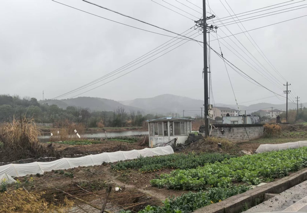 11年未了的土地官司：缴纳出让金后未获“净地”交付，开发商称因此破产