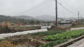 11年未了的土地官司：繳納出讓金后未獲“凈地”交付，開發(fā)商稱因此破產(chǎn)