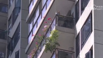 居住環(huán)境→租賃關(guān)系→資金安全……全方位保障！一文讀懂《住房租賃條例》