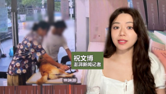 博聞丨寵物狗寄養(yǎng)期間死亡雙方協(xié)商未果，寄養(yǎng)亂象頻出亟待規(guī)范