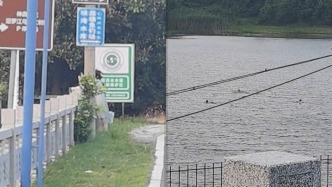 多人在飲用水源地游泳？當?shù)劓?zhèn)政府：將加強巡查