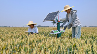 《中國農(nóng)村發(fā)展報告2025》發(fā)布，為“十五五”農(nóng)村現(xiàn)代化提供智力支持