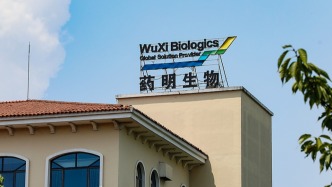 藥明生物上半年利潤預(yù)增超五成，多家預(yù)告盈利大增，CXO板塊走出低谷？