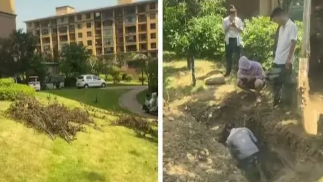 明辨丨“许昌一小区有人挖坟墓”？不实