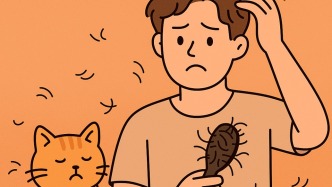 夏天，人和貓一樣掉毛多怎么辦？