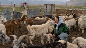 “情暖滬疆 攜手同行”公益援疆攝影采風活動賞片會舉行