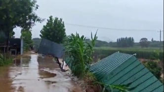 保定易县遇强降雨一养蝎场被冲毁，当事人：内有500万只蝎子