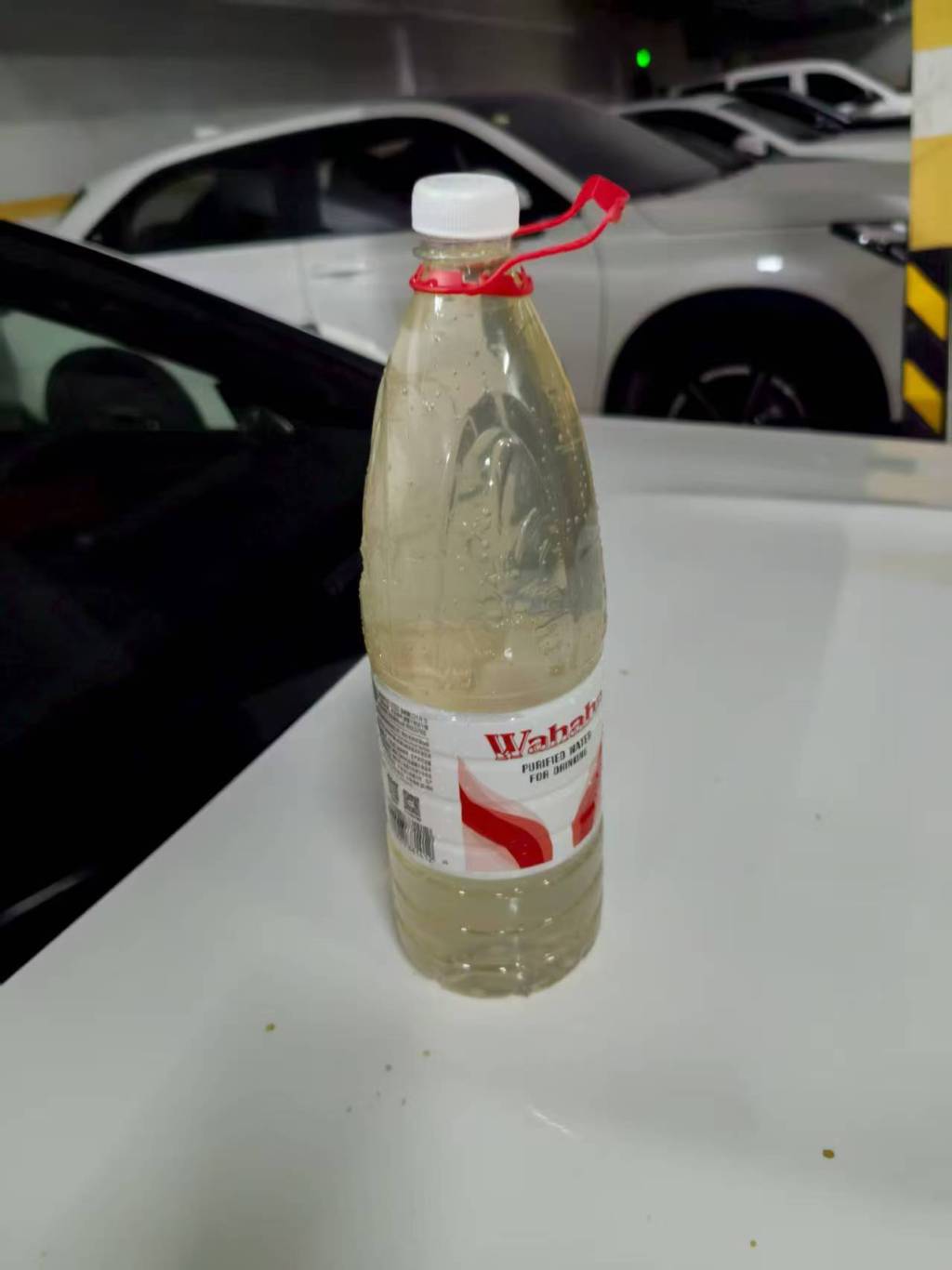 温州永嘉一小区业主指自来水发黄发臭，物业：老管爆裂后进了雨水水源，已处理
