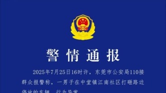 一行为异常男子打砸路边停放车辆，东莞警方：已将其控制