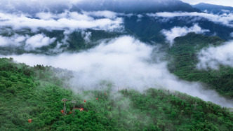 避暑人流猛增，四川三景區(qū)發(fā)布客流量預(yù)警