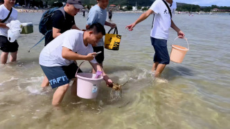 深圳民宿“放生”大龍蝦等海鮮讓游客趕海？涉事地位于保護(hù)區(qū)