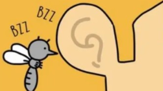 拍死正在吸血的蚊子，它的嘴會斷在肉里嗎？