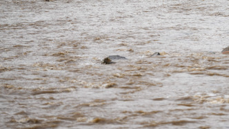 水利部将京冀洪水防御Ⅳ级应急响应提升至Ⅲ级