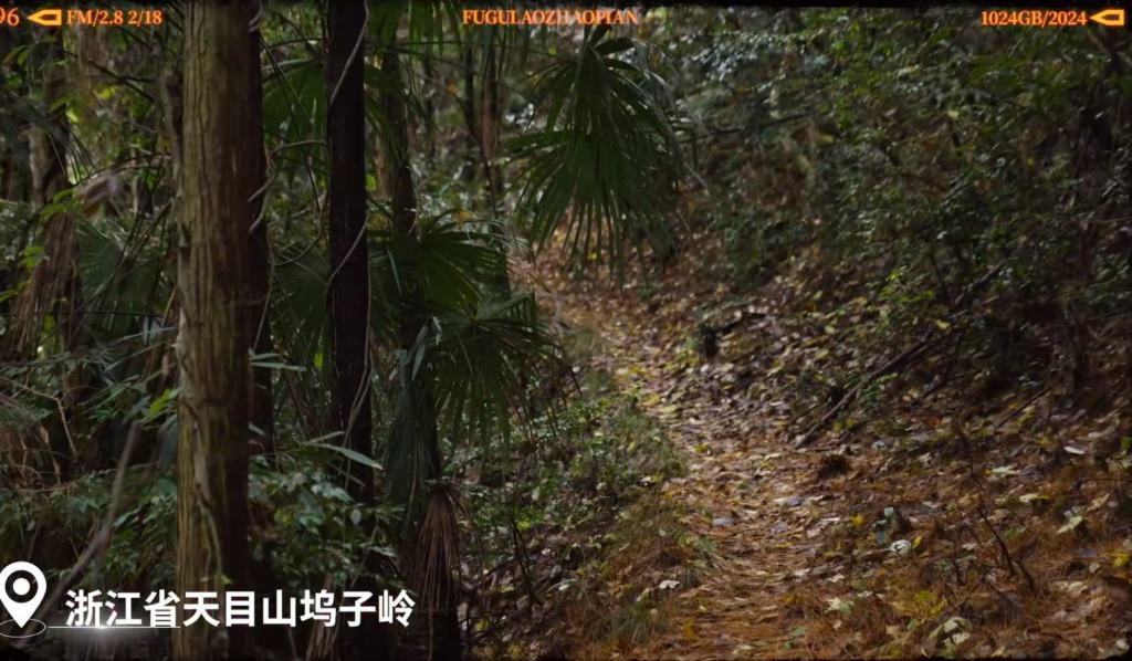 30年追寻，她用一部纪录片重走父亲浙西抗战路