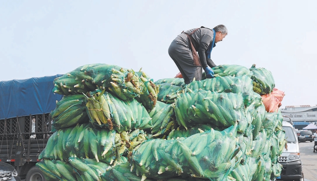 北京：主要批发市场蔬菜肉蛋供应充足，连锁超市3倍量储备生活必需品