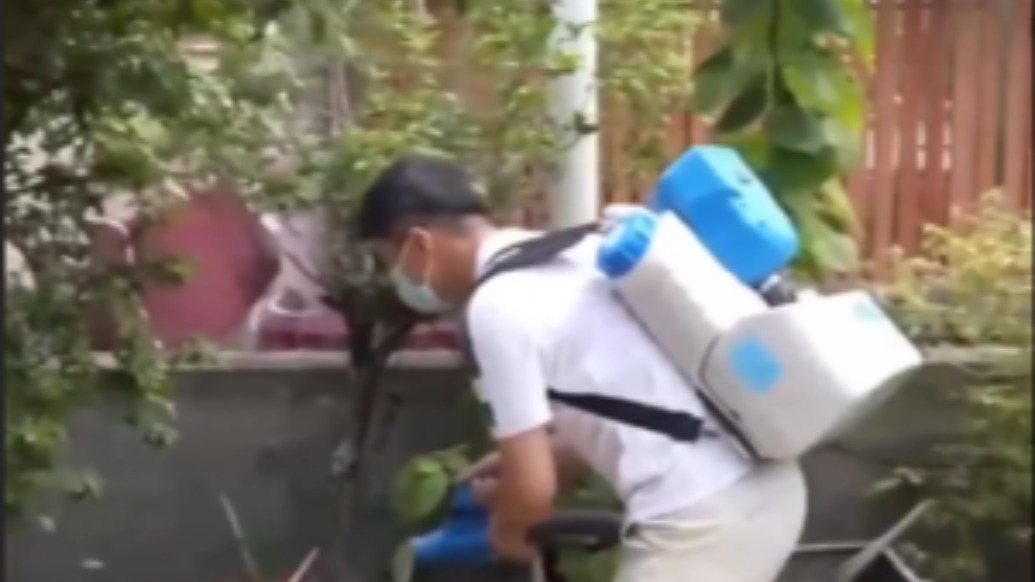 广东开展为期一周的集中灭蚊行动，地毯式消杀花斑蚊