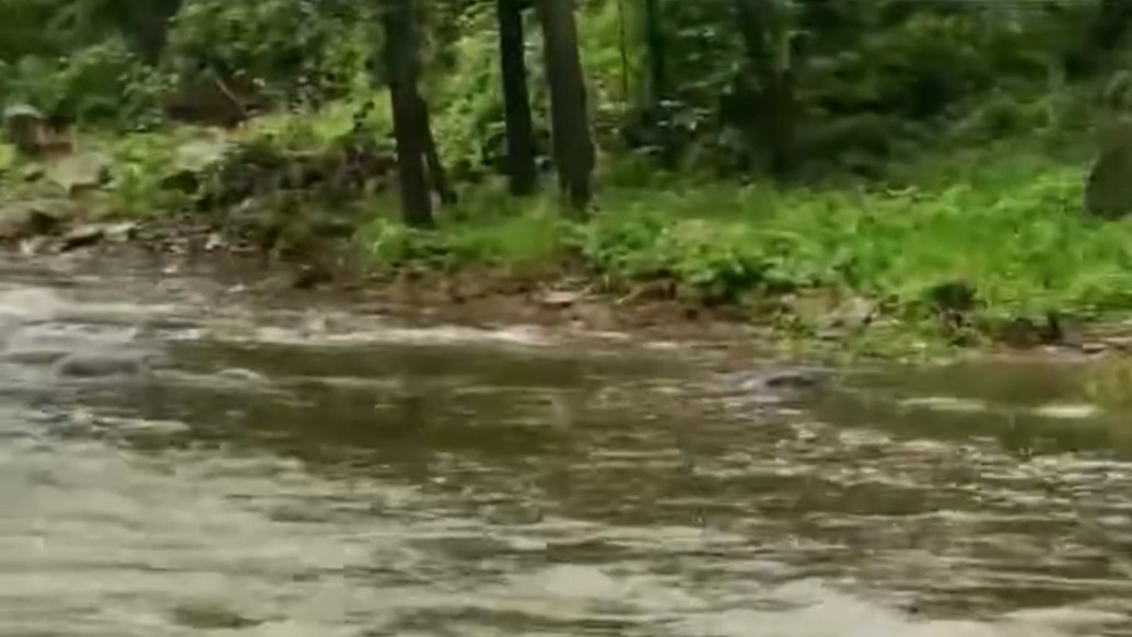 密云一民宿老板：魚塘養(yǎng)的虹鱒魚被沖走，整個(gè)太師屯鎮(zhèn)全是水