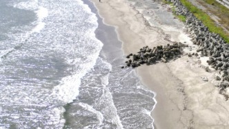 日本多地發(fā)布海嘯預警，預計海嘯高度為1米左右