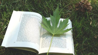 未付费用能否列入短剧制作成本？