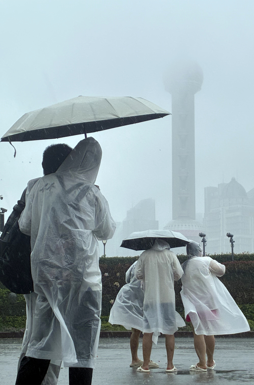 魔都眼｜ 台风影响下的街头：乍浦路桥名被淹、游客打卡速撤