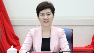 海南廳官種潤之被責令辭去省人大代表職務(wù)