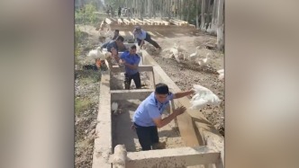 新疆阿圖什突發(fā)小型山洪，民警洪水中撈回800只大白鵝