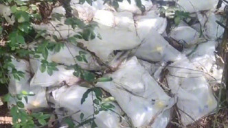 江西通報“樹林發(fā)現(xiàn)大量丟棄藥品”：系村民丟棄的死者遺物