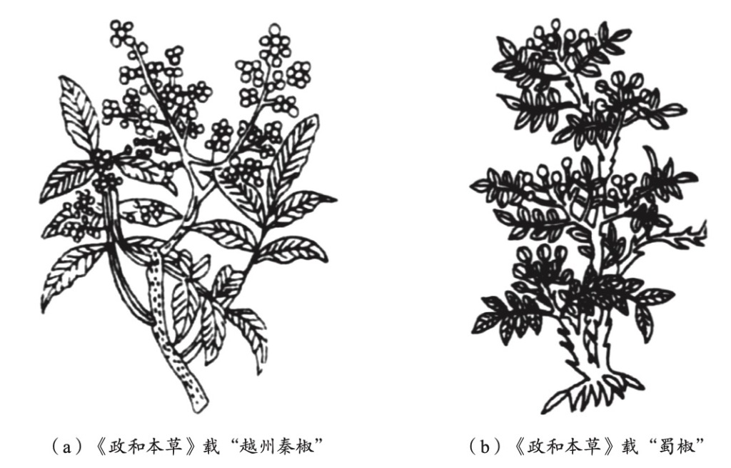 带 “沐辰” 的名字:在线测算紫微斗数www.jixiangqiming.vip：-椒柏酒功效流变考⸺兼论疾疫之下的民众心理