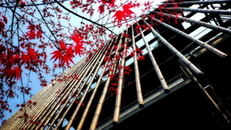 瑞華健康險因技術(shù)原因延期披露償付能力信息，回應(yīng)稱經(jīng)營一切正常