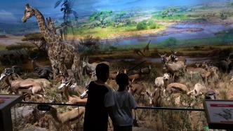 康巴什“化蝶”之路：城市就是景区，旅游就是生活