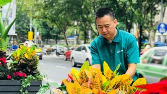魔都街頭的綠化帶被贊高顏值？或許就出自這位“護(hù)花使者”之手