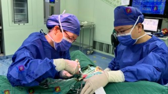 6岁男童小区内被犬只撕咬下体，医院：已完成清创缝合手术