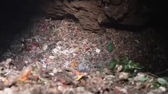 天然溶洞遭破坏调查：垃圾成堆，大量钟乳石被售卖