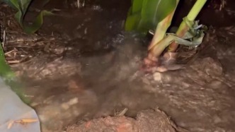 河南7月平均氣溫破64年最高紀(jì)錄，旱情如何？何時緩解？