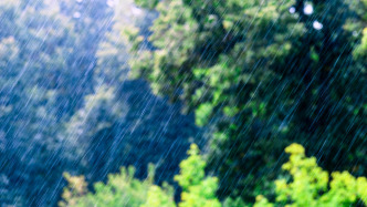 惠州仲恺高新区发布暴雨红色预警，紧急通知实行“五停”