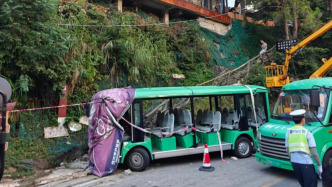 貴州千戶(hù)苗寨景區(qū)觀光車(chē)剎車(chē)失靈致游客受傷，景區(qū)稱(chēng)正調(diào)查處置