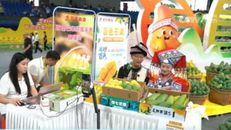 年中經(jīng)濟(jì)觀察丨電商成為農(nóng)民致富“金鑰匙”，鄉(xiāng)村振興注入強(qiáng)勁動(dòng)能