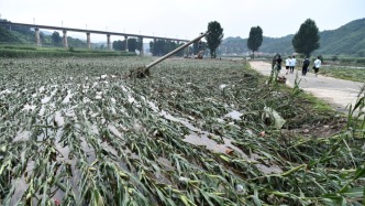北京河北两地已受理特大暴雨保险理赔报案超3万件