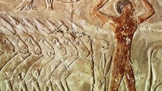 黔之驴：一个文学形象的生成与物种迁徙、文化交流