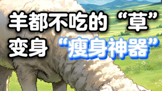 又貴又難吃的羽衣甘藍(lán)被瘋搶，價(jià)格暴漲4倍，單日銷量突破10萬杯