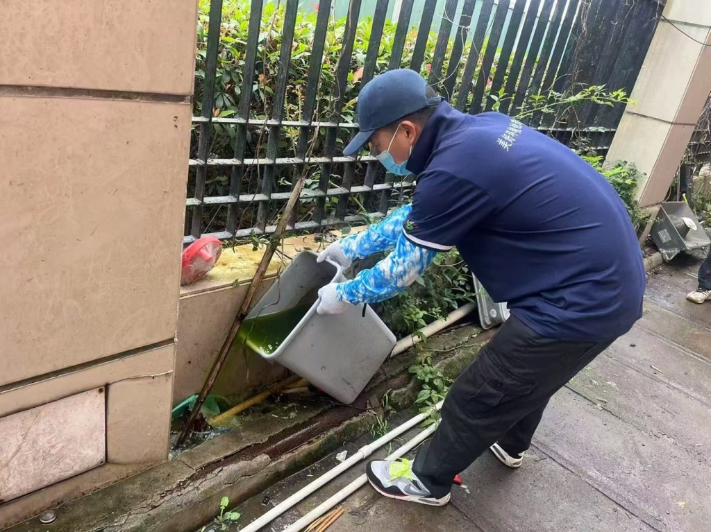 清除蚊虫孳生地，上海各区开展爱国卫生集中行动