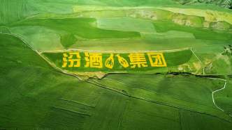“汾酒第一車間”深入新疆奇臺(tái)：厚植家國情懷，“種”出時(shí)代答卷！
