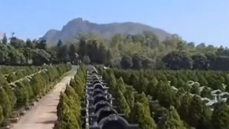 广东中山沙溪镇回应“非法占地建公墓被罚40万并责令退地”：不涉及迁墓